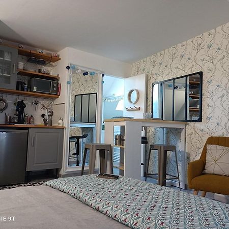 Tres Beau Studio Climatisation, Trois Etoiles, Parking A Velo, Velos En Option, Parking Prive Jardin Montargis Ngoại thất bức ảnh