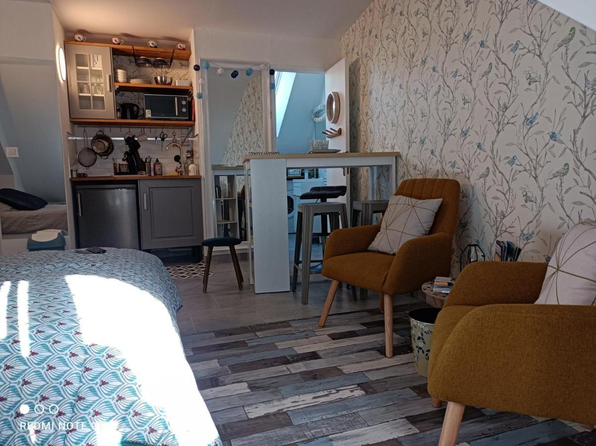 Tres Beau Studio Climatisation, Trois Etoiles, Parking A Velo, Velos En Option, Parking Prive Jardin Montargis Ngoại thất bức ảnh