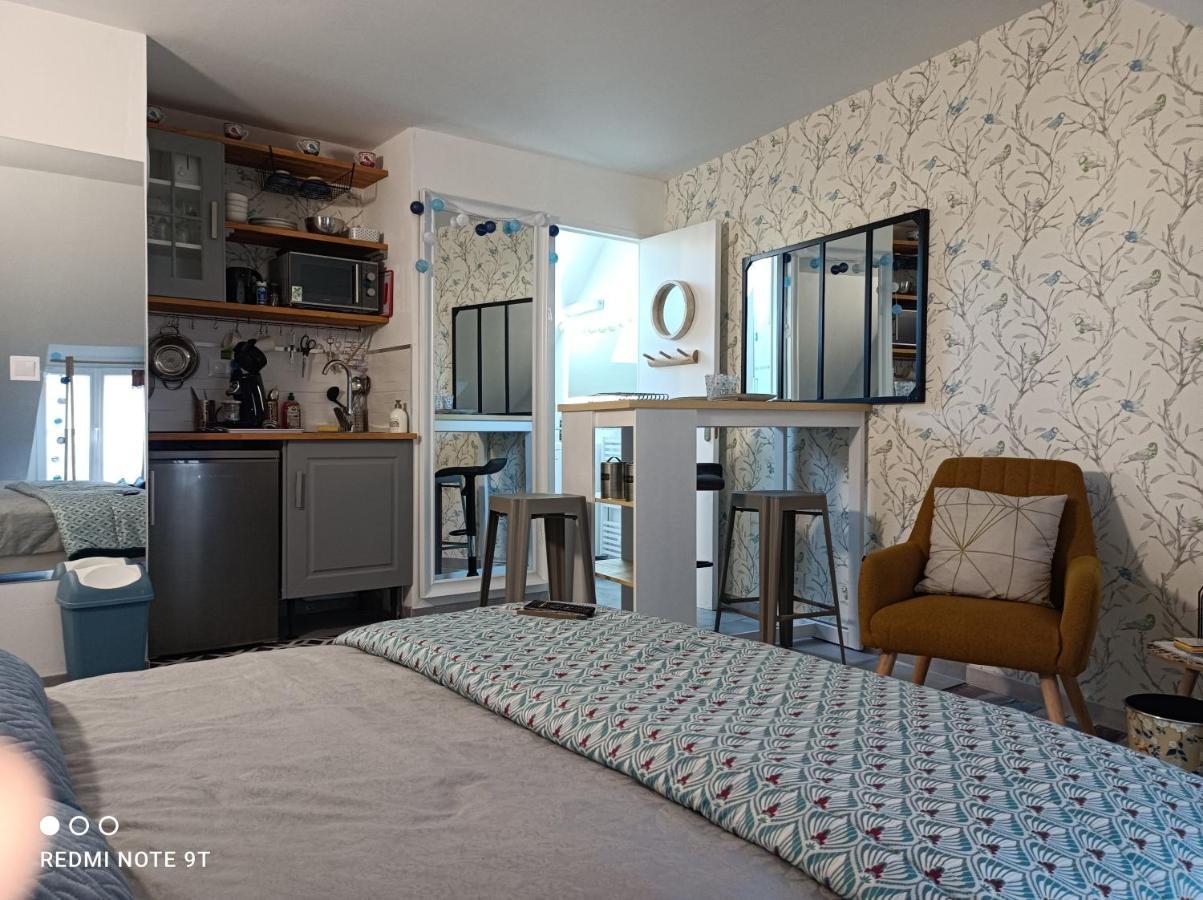 Tres Beau Studio Climatisation, Trois Etoiles, Parking A Velo, Velos En Option, Parking Prive Jardin Montargis Ngoại thất bức ảnh