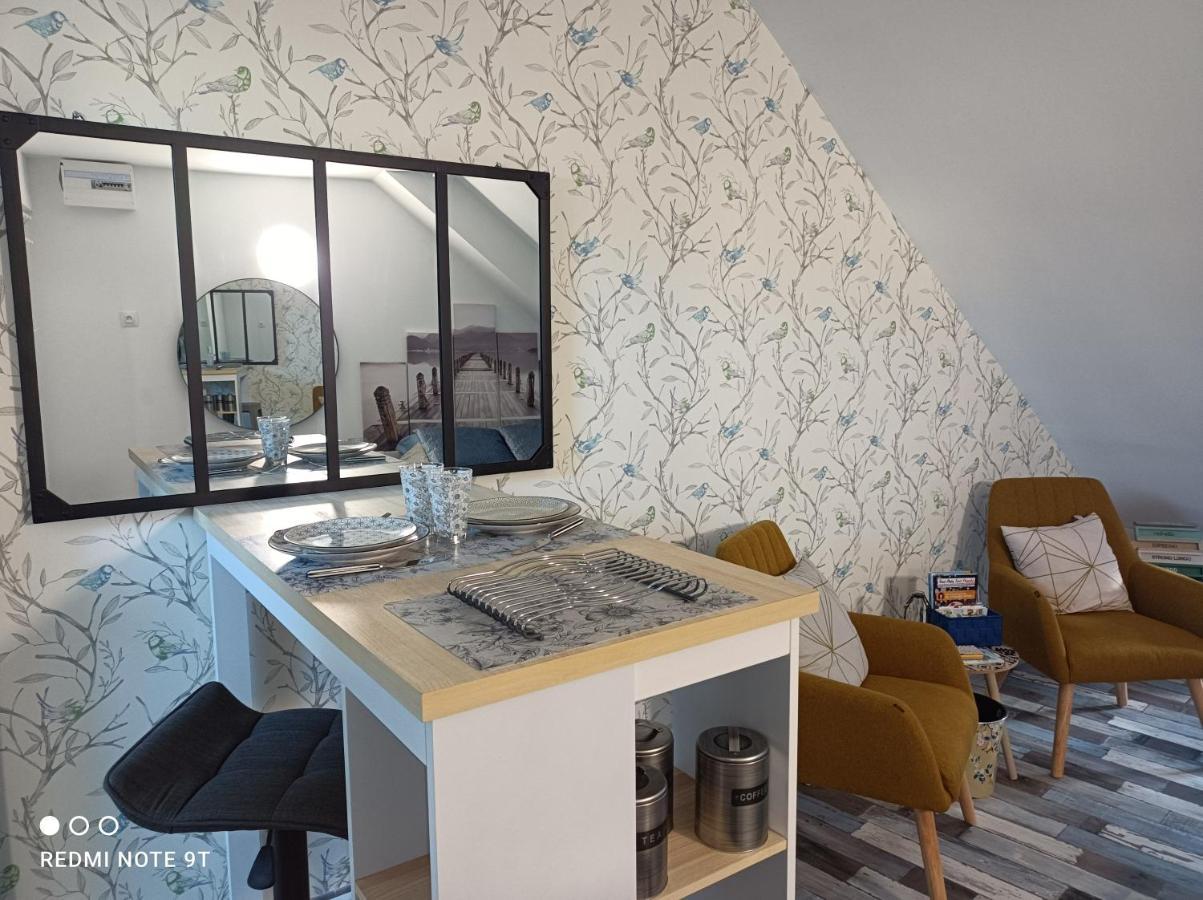Tres Beau Studio Climatisation, Trois Etoiles, Parking A Velo, Velos En Option, Parking Prive Jardin Montargis Ngoại thất bức ảnh