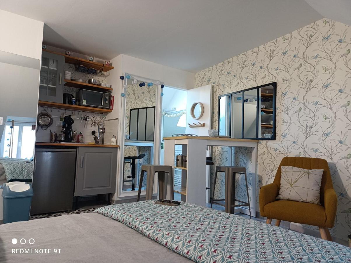Tres Beau Studio Climatisation, Trois Etoiles, Parking A Velo, Velos En Option, Parking Prive Jardin Montargis Ngoại thất bức ảnh