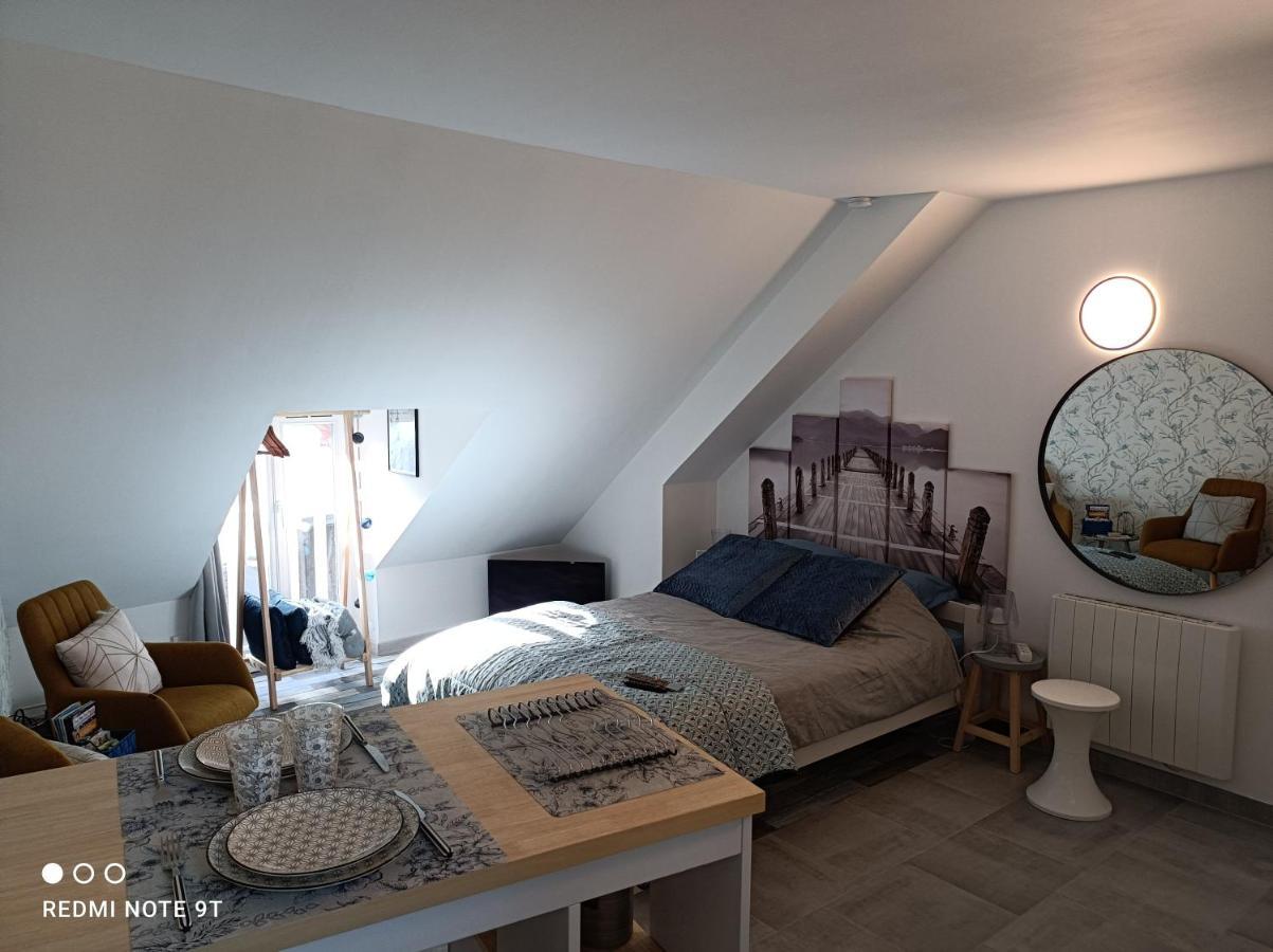 Tres Beau Studio Climatisation, Trois Etoiles, Parking A Velo, Velos En Option, Parking Prive Jardin Montargis Ngoại thất bức ảnh